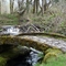 Stone Bridge and Beave Dam