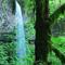 Shellburg Falls