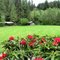 Silver Falls Conference Center