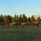 Metal cut out horse art with the 3 sisters in the background. East of Sisters Oregon