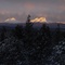 3 sisters from the deck