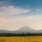 Broken Top, Mt Washington & the Three Sisters from Cloverdale Road
