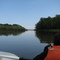 Parkers Creek, looking east