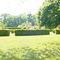 Wedding Rose Garden