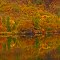 Autumn Fire
