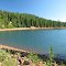Lower Res...the skinny-dipper's choice