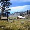 Badley Ranch, Izee   1967