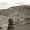 Old Bush Ranch  1962