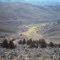 Greenspring Draw above old Bush ranch 1967