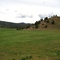 Utley Creek Drainage