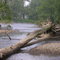 Brokenstraw Creek at Irvine Creek