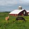 bucolic countryside, near Pleasant Mount, Pennsylvania
