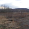 Centralia Fire Origin (Approximate)