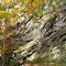 Wissahickon Schist
