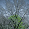 Spring Is Coming