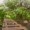 Footbridge