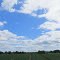Fields