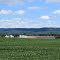 Field