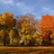 Fall in Grand Rapids