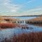 Reeds Lake