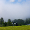 Foggy farm in North Jackson