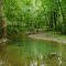 The West Branch of Chillisquaque Creek near the West Branch Trail at Montour Preserve.