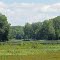 Woods Lake in woods
