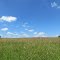 Summer field in Butman