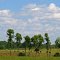 A pleasant view of Butman in summer