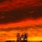 Sunset beauty