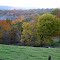 Farm field, Douglas Bauman