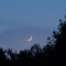 Crescent Moon - Tree silhouette, Fur Tree, Night Sky - Shintown, PA