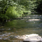 Rt. Hand Branch of Young Women's Creek in Clinton Co., PA