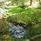 on chuck keiper trail