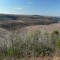 Fish Dam View