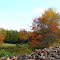 Autumn on the Farm