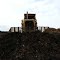 Caterpillar D7G at Delullo Woodbed