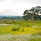 Tualatin National Wildlife Refuge - June 2010
