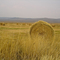 wheels of hay