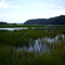 Huron National Forest