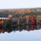 Fall Colors