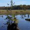 Au Sable River