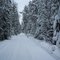 a wall of winter
