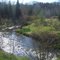 pine river