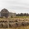 Old Barn, Curtis, Michigan