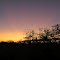 South Texas sunset