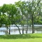 Burroughs Park (Marchs Pond) 2