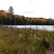 Wakeley Lake