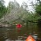 South Branch AuSable Through Mason Tract