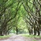 Oak Lane